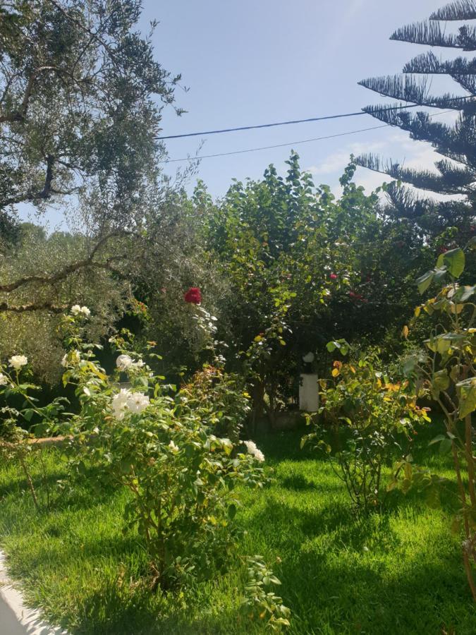 Aktipis Studios Αργάσι Εξωτερικό φωτογραφία