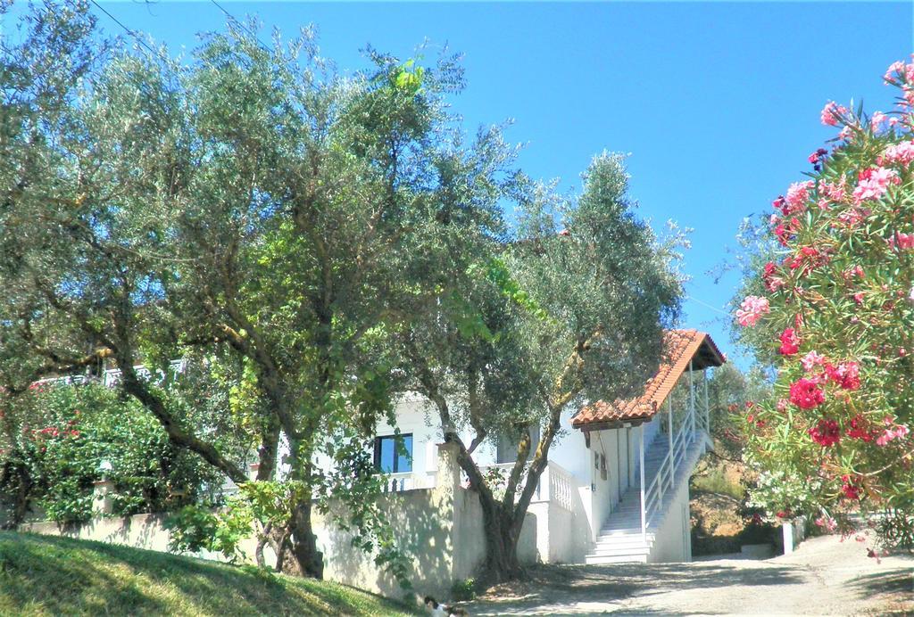 Aktipis Studios Αργάσι Εξωτερικό φωτογραφία